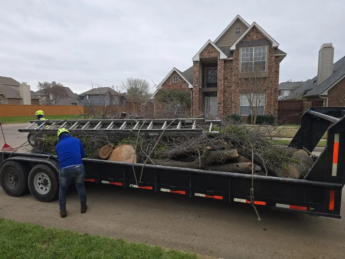 Expert Lot Clearing with proper safety equipment in Anton